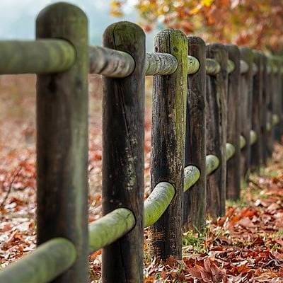 Dolore ea quia ut inventore et aut et.
